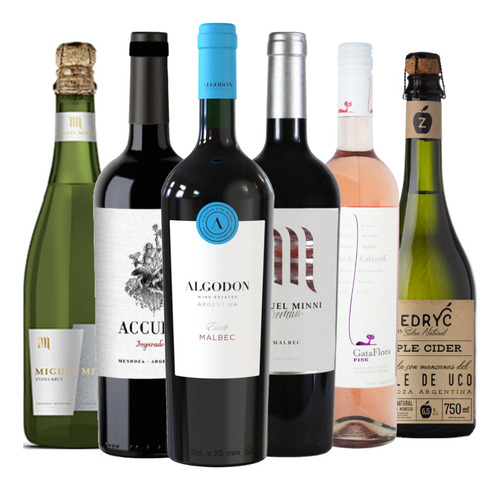 Vinos Boutique + Espumante + Sidra. Caja Full 6 Botellas --