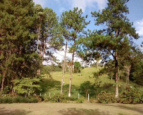 Imagem 27 de 30 de Excelente Sítio Rico Em Água Á Venda Em Juquitiba. - 194 - 32982689