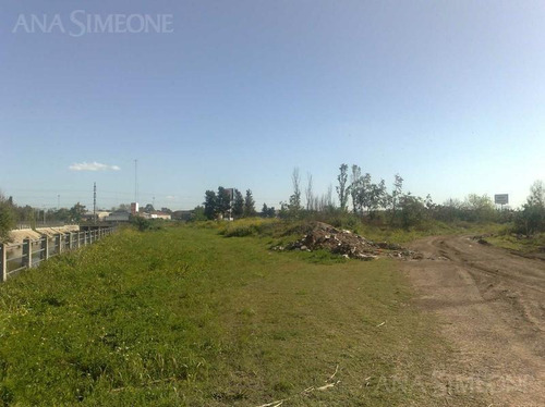 Imagen 7 de 19 de Excelente Terreno A Mts. De Panamericana