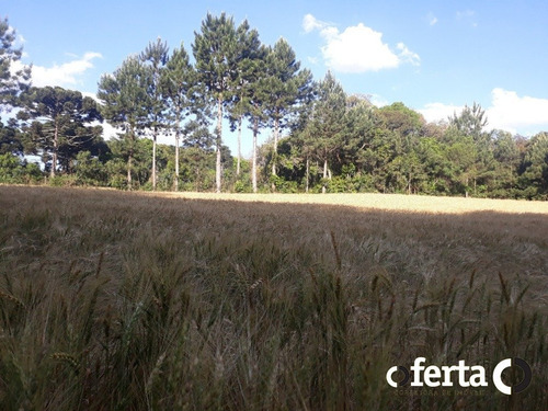 Imagem 12 de 14 de Chacara - Tiete - Ref: 573 - V-573