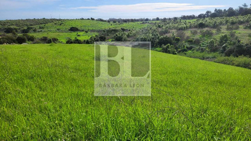 Parcelas Con Rol En Mantagua De 1000 Mt2 En Condominio