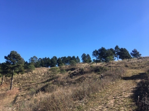 Imagen 4 de 10 de Venta De Fracción De 9 Hectáreas En Potrero De Garay, Casas Y Club De Montaña Inv0018