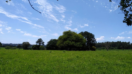 Imagen 5 de 21 de Lote En Venta 1219m2 En Puerto Rico - Loteo Clemens Blick