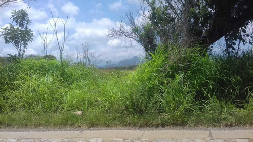 Imagen 2 de 8 de Se Vende Terreno En Sta. Gertrudis (fortin) ¡ideal Para Desarrolladores!