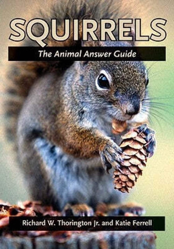 Libro Squirrels: The Animal Answer Guide, En Ingles