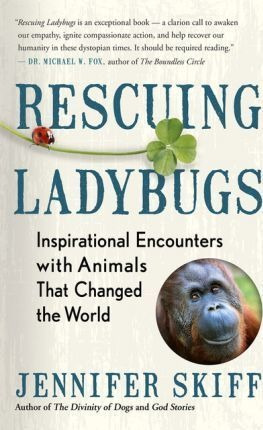 Rescuing Ladybugs : Inspirational Encounters With Animals Th