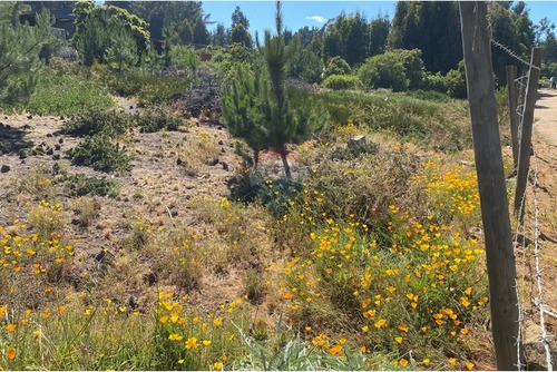 Terreno 1.500m² Alta Plusvalía En Reñaca Los Pinos