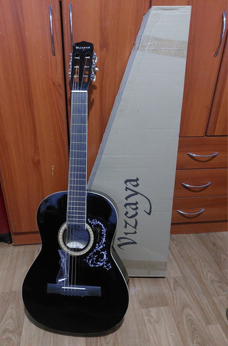Guitarra Vizcaya Cuerdas De Acero + Caja Y Llave Allen 