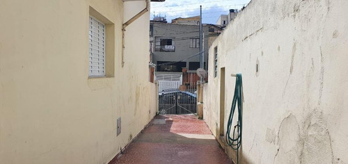 Terreno À Venda, 195 M² Por R$ 1.300.000 - Jardim Anália Franco - São Paulo/sp - Te0195