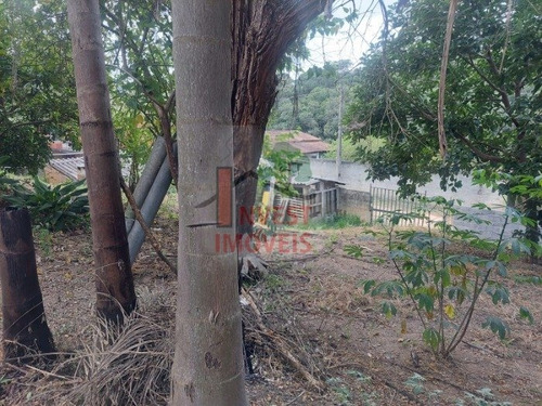Imagem 4 de 15 de Chacara - Ref: 6776 - V-6776