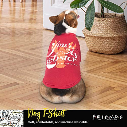 Friends The Tv Show Camiseta Con Texto En Inglés