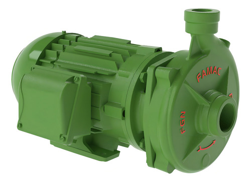 Motobomba Centrífuga Fgn-2 1cv Motor I P 55 Weg Trifás Famac Cor Verde Fase Elétrica Trifásica 220v/380v Trifásica