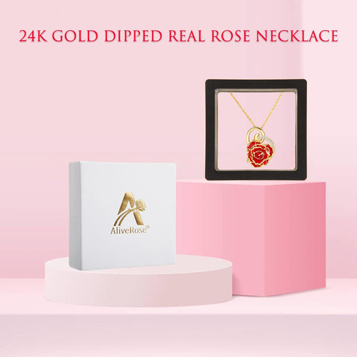 Collar Aliverose Oro Rosa Real Chapado Regalos Mujer
