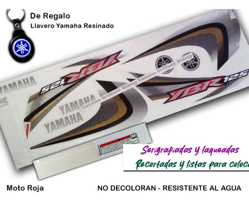 Calcos Yamaha Ybr 125 Ed - Set Completo - Calidad!