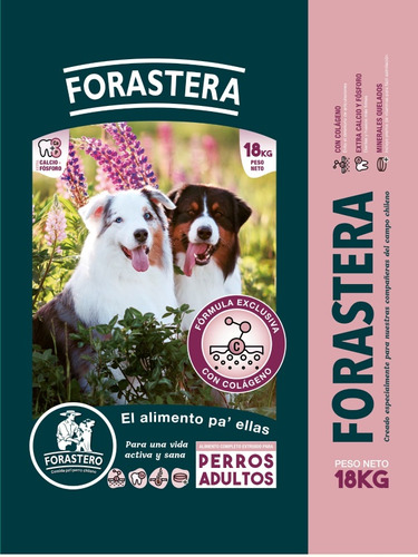 Alimento Perras Forastera, Extra Colageno, Calcio Y Fósforo.
