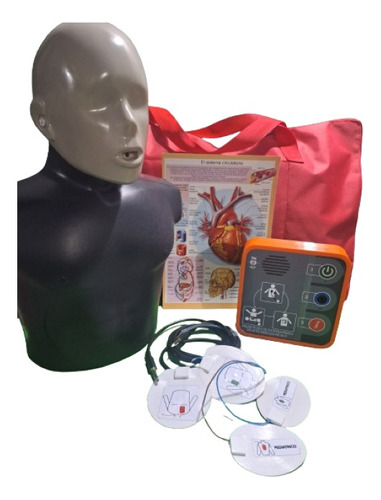 Dea Rcp Kit Torso Más Entrenador Dea Más Láminas Didácticas.