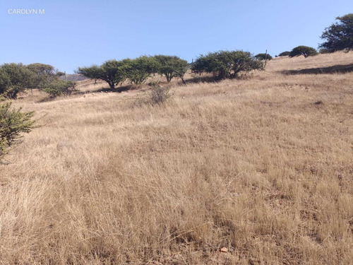 Terreno A Orilla De Carretera En Tabolango (96812)