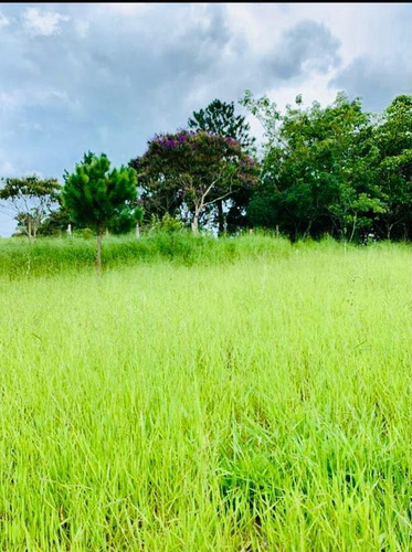 Imagem 7 de 14 de F16- Terrenos A Venda,com Ótima Vista