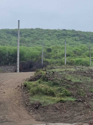Imagen 8 de 13 de Terrenos Desde 1,500 Metros Baní A 600 Pesos Mt2