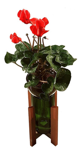 Violeta Little Plant 24 Con Soporte Maceta Autorregante