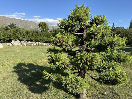 Casa Única En Un Entorno Natural Excepcional ¡ideal Para Reformar O Emprender!