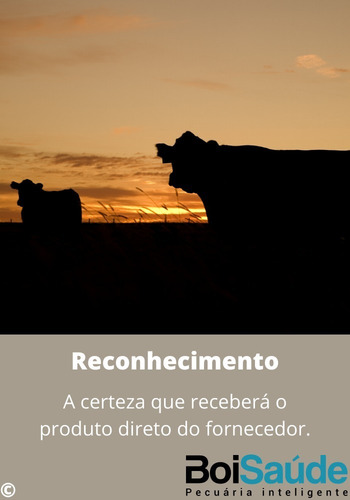 Total Corte Premium Núcleo Vitamínico Para Gado De Corte 5kg