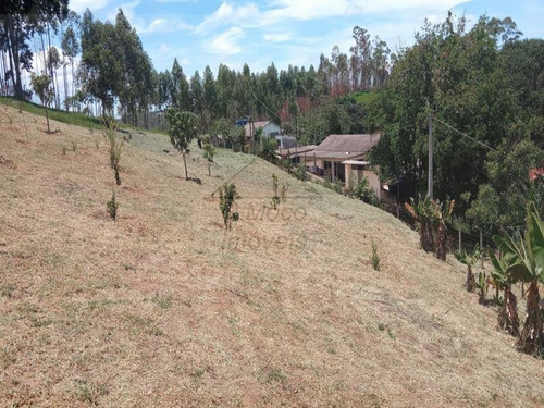 Imagem 4 de 16 de Área Jundiaizinho (terra Preta) Mairiporã/sp - 1309