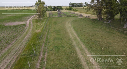 Imagen 2 de 22 de Campo Mixto En Venta En Chivilcoy 60 % Agrícola - Armado