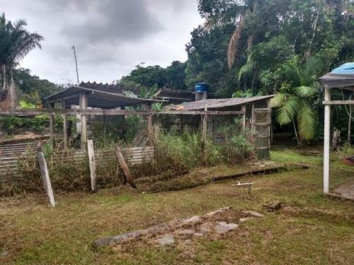 Chácara Com Pomar E Lago Para Peixes Em Itanhaém - 7681 Npc