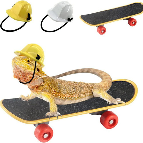 Juego De 3 Patinetas Con Casco Para Mascotas Más Vendido, Pe