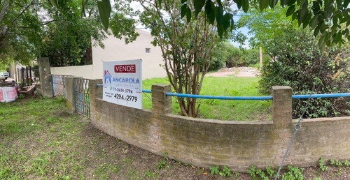Imagen 5 de 12 de Venta De Lote En Chascomús