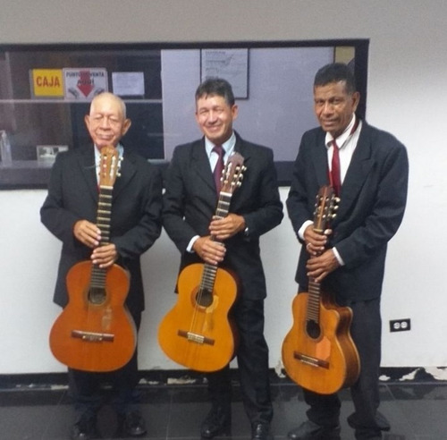 Trio Serenatas, Grupo Musical En Vivo, Boleros Y Guitarras