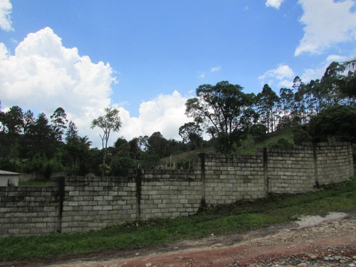 Imagem 19 de 22 de Chacara - 04765 - 33418558
