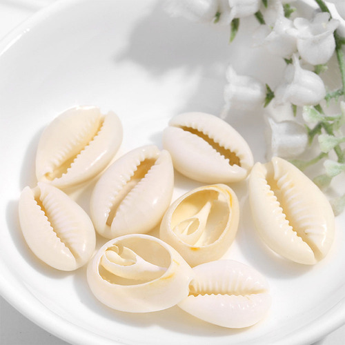 Conchas Marinhas Naturais, 100 Peças De Praia, Faça Você Mes