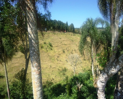 Imagem 5 de 12 de Sitio À Venda Em Juquitiba; Sitio Em Juquitiba; Sítio Com Boa Topografia; - 98 - 32982565