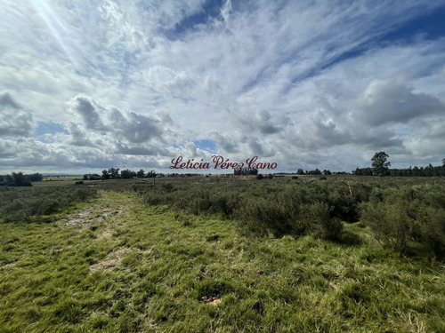 Imagen 4 de 10 de Venta Chacra 7 Has Sobre Ruta 9, A 18 Kms De Punta Del Este