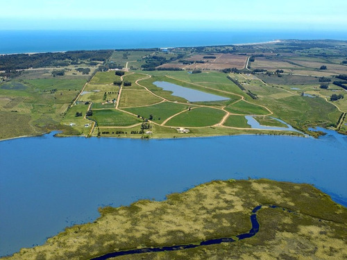 Imagen 10 de 11 de Terreno En Laguna De Los Cisnes, Punta Ballena - Laguna De Los Cisnes