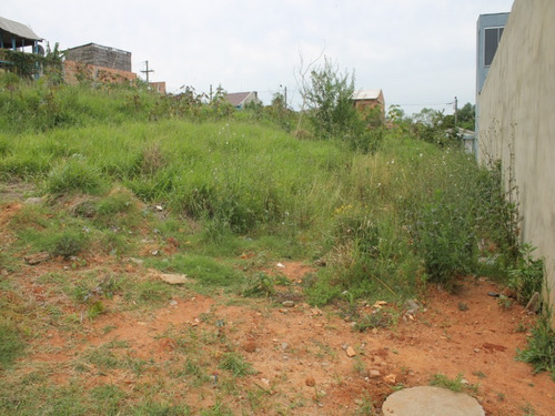 Imagem 6 de 10 de Terreno - Te00024 - 68718693