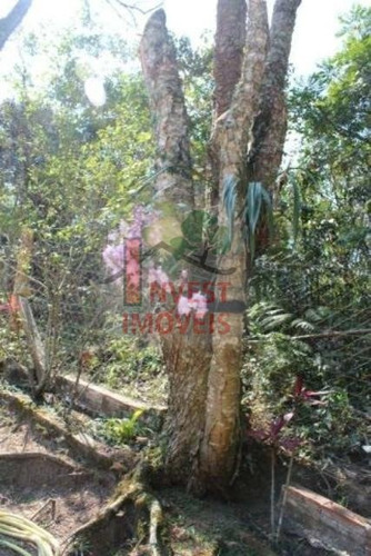 Imagem 10 de 15 de Chacara - Ref: 3733 - V-3733