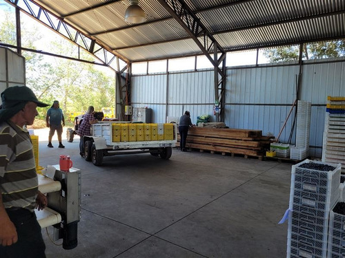 Imagen 15 de 18 de Agrícola En Venta En Ñiquén