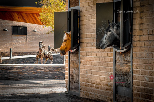 Rancho De Lujo Con Picadero Y Salon De Eventos En El Sur De Zm Guadalajara