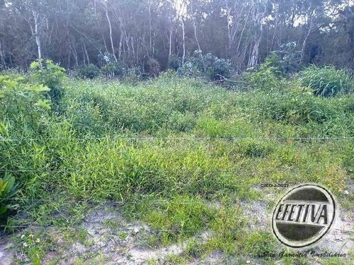 Imagem 2 de 11 de Terreno 12x60 M² -balneário Betaras - Matinhos-pr - 627t