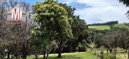 Excelente Imóvel, Todo Arborizado, Fácil Acesso, Pomar, Internet À Venda, 4693 M² Por R$ 300.000 - Pedra Bela/sp - Ch0761