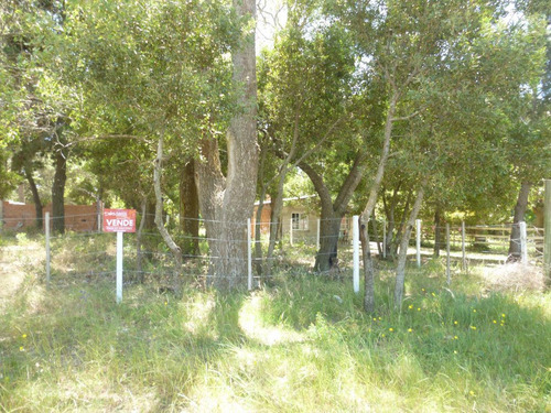 Imagen 3 de 3 de Lote De 260m2 - San Bernardo