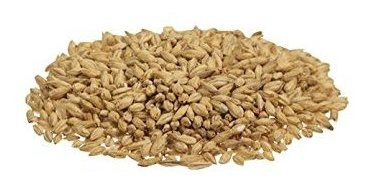 Brewmaster Gr355f Malta Golden Promise 10 Lb