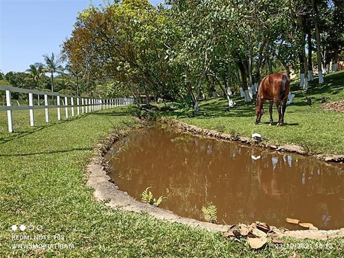 Imagem 5 de 29 de Sítios À Venda Em Nazare Paulista/sp - Compre O Seu Sítios Aqui! - 1491955