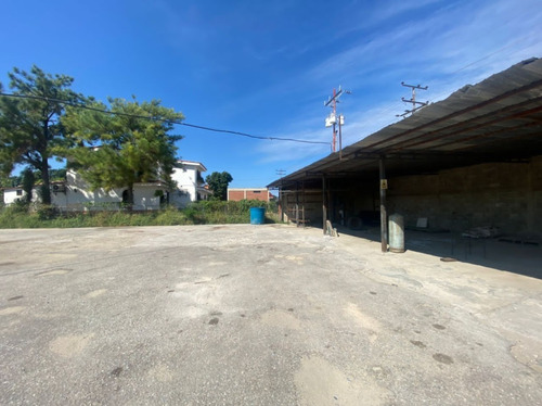 Imagen 9 de 13 de En Venta Galpon Con Amplio Terreno, Palo Negro