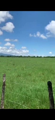 Te Vendo Finca De Animales En La Vega.