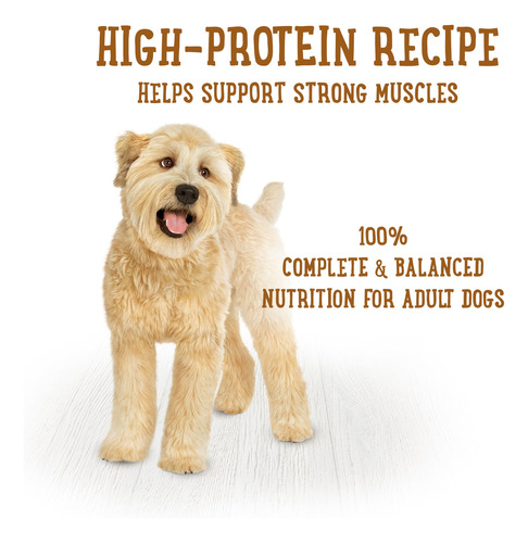 Purina Beneful Prepared Meals Mezcla De Pavo Asado 283g