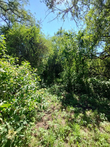 En Venta Espectacular Lote Arbolado De 4000 M2 | Villa De Las Rosas | Escritura Y Servicios
